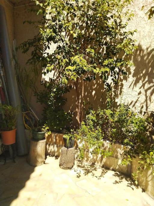 Studio Ideal Pour Deux Voyageurs Sur Marseille Exterior photo
